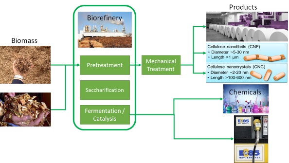 Biorefinery Solutions