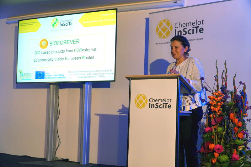 Theodora Retsina delivering keynote lecture at Chemelot InSciTe Annual Meeting 2019.